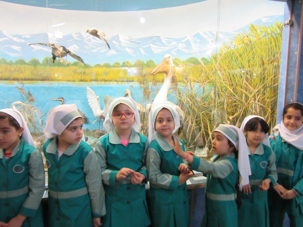بازدید دانش آموزان پیش دبستانی از موزه محیط زیست